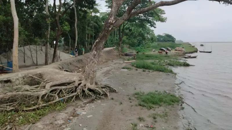 কারখানা নদীর বাঁধে ভাঙন, ঝুঁকিতে তিন ইউনিয়নের মানুষ