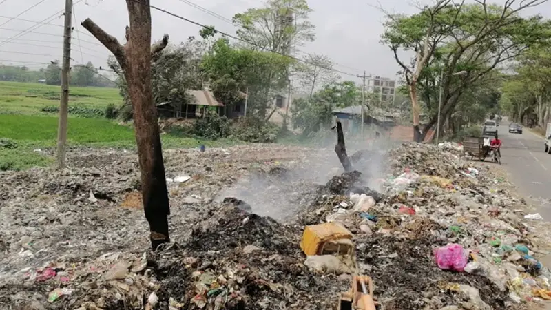 বাতাসে ভাসছে বিষ, ব্যাহত উদ্ভিদের পরাগায়ণ