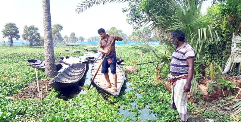 কেশবপুরে এবার ১২শ’ হেক্টর জমিতে বোরো আবাদ হবে না কেশবপুরে এবার ১২শ’ হেক্টর জমিতে বোরো আবাদ হবে না