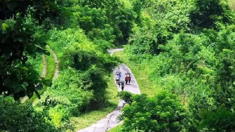 রোয়াংছড়িতে গোলাগুলিতে নিহত ৮ রোয়াংছড়িতে গোলাগুলিতে নিহত ৮