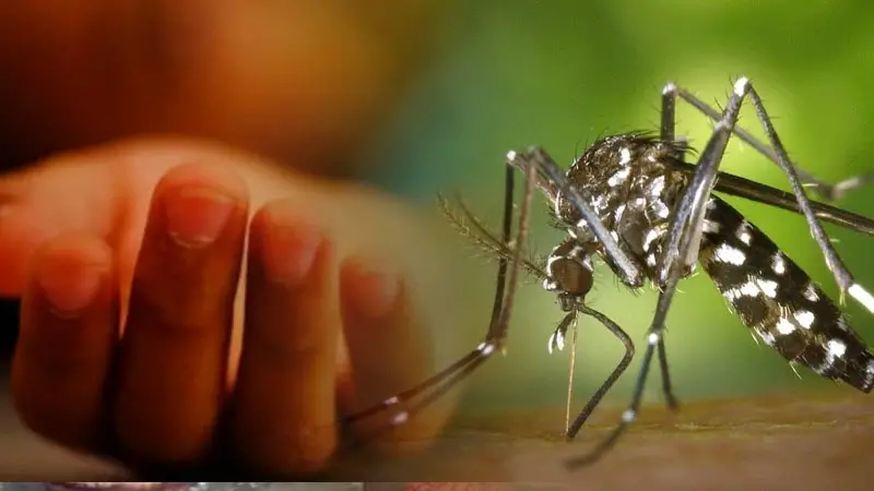 ডেঙ্গুতে মৃত্যু ১, হাসপাতালে ভর্তি ৫ ডেঙ্গুতে মৃত্যু ১, হাসপাতালে ভর্তি ৫