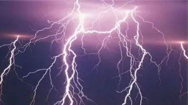 উল্লাপাড়ায় বজ্রপাতে কৃষকের ৫ টি গরুর মৃত্যু