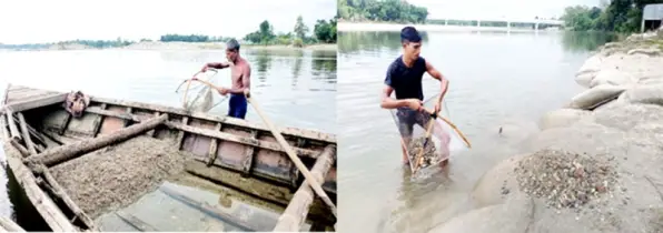 তিস্তা-ধরলায় পাথর  সংগ্রহ করে চলে জীবিকা