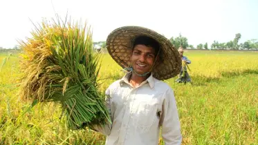 কৃষকের ধান কেটে দিল ছাত্রলীগ