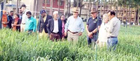 বাংলাদেশের গবেষণায় প্রশংসা অস্ট্রেলিয়ান গবেষকদের