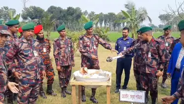 চুয়াডাঙ্গা ৩ কোটি টাকার মাদকদ্রব্য ধ্বংস বিজিবির