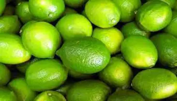 লেবুর বাড়তি দামে  চন্দনাইশের  কৃষক খুশি