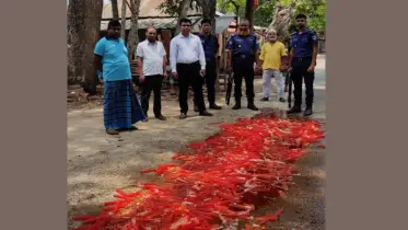 রং মিশ্রিত আইসক্রিম বিক্রির অপরাধে জরিমানা