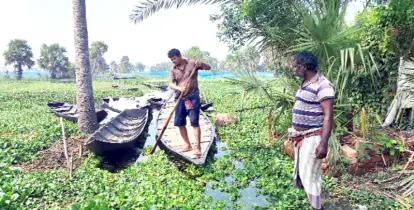 কেশবপুরে এবার ১২শ’  হেক্টর জমিতে বোরো  আবাদ হবে না