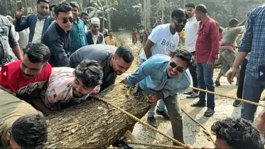 গাছ সরিয়ে অ্যাম্বুলেন্সের পথ করে দিলেন মাশরাফী