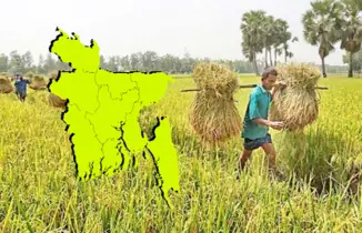 কৃষি বিপ্লবে খাদ্য নিরাপত্তা