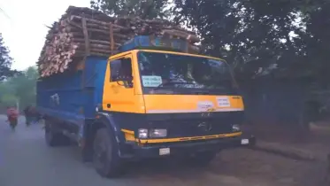 ট্রাক-মোটরসাইকেল সংঘর্ষে নানী-নাতি নিহত, জামাতা আহত