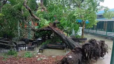 ঘূর্ণিঝড় ‘মোখা’র তাণ্ডবে মিয়ানমারে নিহত ৩