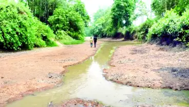 ফেনীতে বহুরূপী তিন নদী, বিপাকে কৃষক