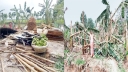 নেত্রকোনায় ব্যাপক ক্ষতি