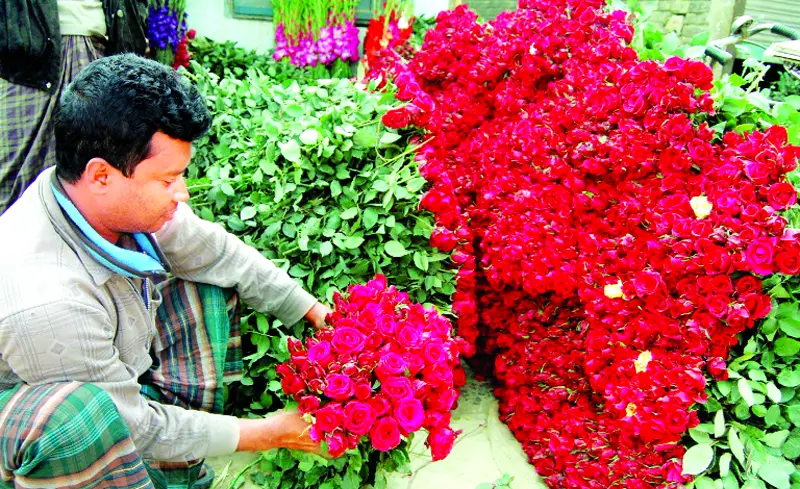 ৫০ কোটি টাকার ফুল বিক্রির লক্ষ্য ৫০ কোটি টাকার ফুল বিক্রির লক্ষ্য