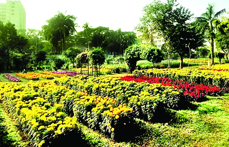 বসন্ত, দাও আনি, ফুল জাগাবার বাণী... বসন্ত, দাও আনি, ফুল জাগাবার বাণী...
