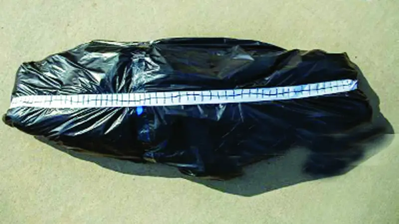 নড়ে উঠল বডিব্যাগ নড়ে উঠল বডিব্যাগ