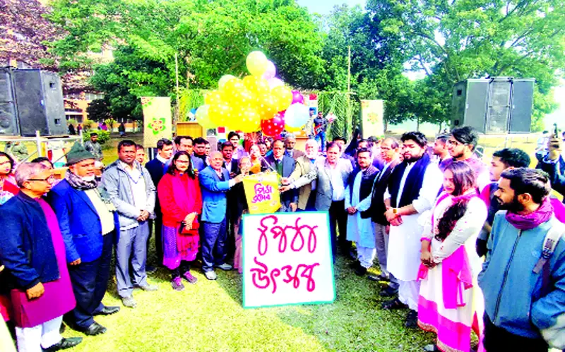 হবু ডাক্তারদের পিঠা উৎসব হবু ডাক্তারদের পিঠা উৎসব