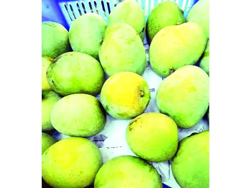 স্বাস্থ্য ভাবনা স্বাস্থ্য ভাবনা