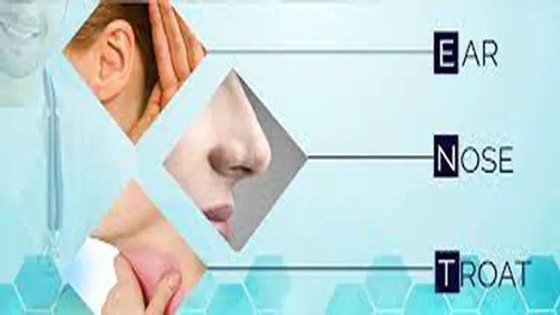 ষষ্ঠ শ্রেণির লেখাপড়া ষষ্ঠ শ্রেণির লেখাপড়া