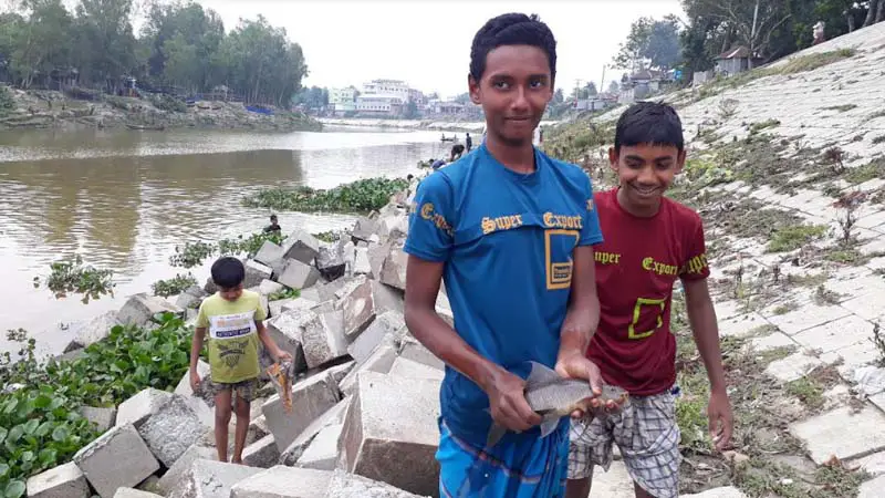ফুলজোড় নদে ভেসে উঠছে মাছ, ধরতে মানুষের ভিড় ফুলজোড় নদে ভেসে উঠছে মাছ, ধরতে মানুষের ভিড়