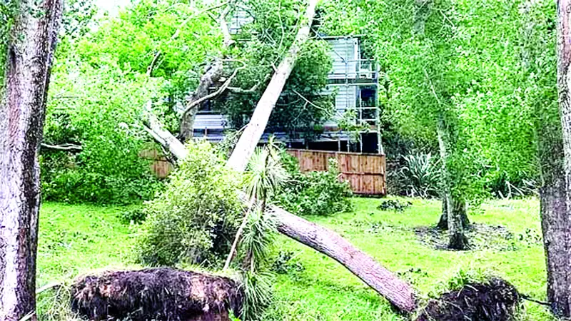 নিউজিল্যান্ডে ঘূর্ণিঝড় জরুরি অবস্থা ঘোষণা নিউজিল্যান্ডে ঘূর্ণিঝড় জরুরি অবস্থা ঘোষণা