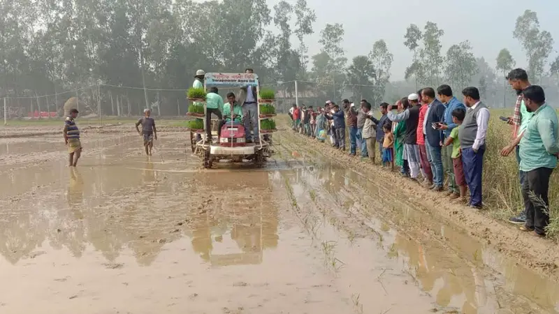 ঝিনাইগাতীতে যান্ত্রিকরণের মাধ্যমে ধানের চারা রোপণ উদ্বোধন