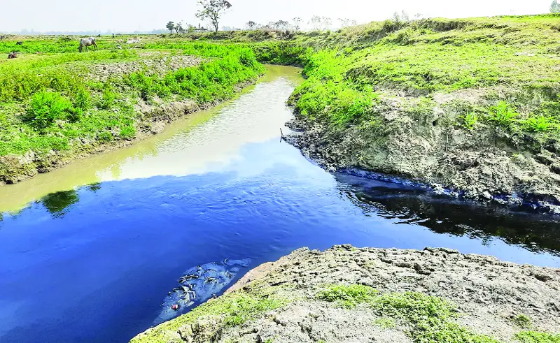 শিল্পবর্জ্যে পরিবেশ বিপর্যয়ের মুখে