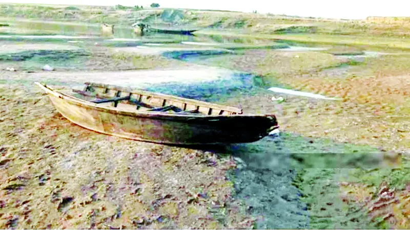 পদ্মা শুকিয়ে বিশাল চর পদ্মা শুকিয়ে বিশাল চর