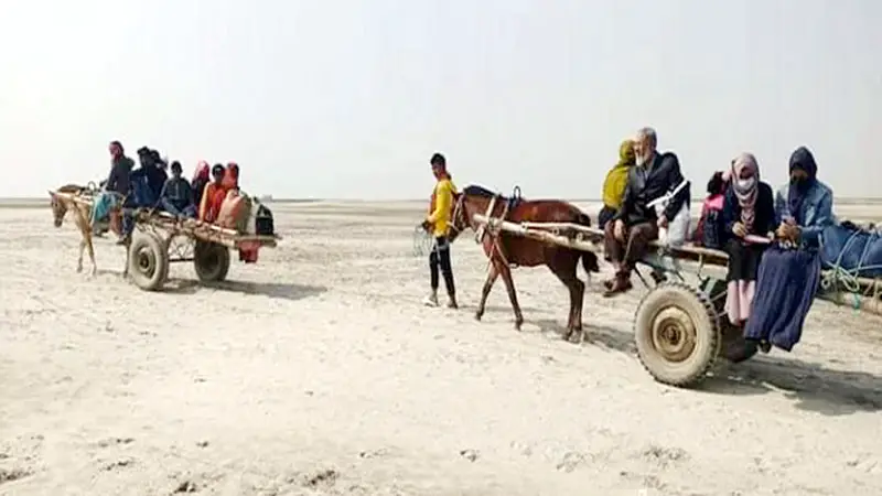 শীর্ণ পদ্মায় চলছে ঘোড়ার গাড়ি