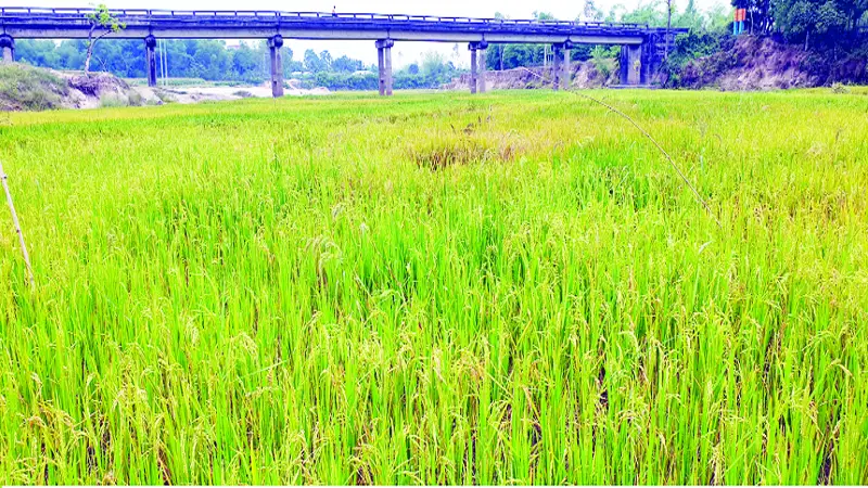 খননে শত কোটি টাকা জলে খননে শত কোটি টাকা জলে