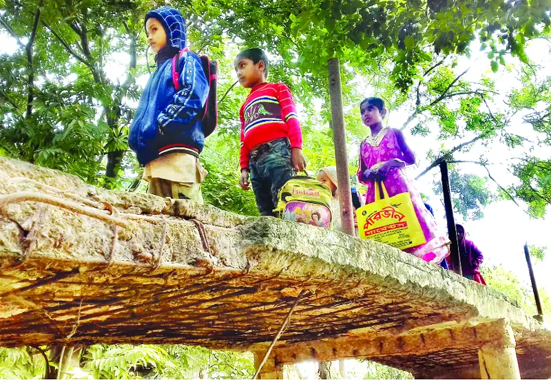 তানোরে নড়বড়ে সেতুতে ঝুঁকি নিয়ে পারাপার তানোরে নড়বড়ে সেতুতে ঝুঁকি নিয়ে পারাপার