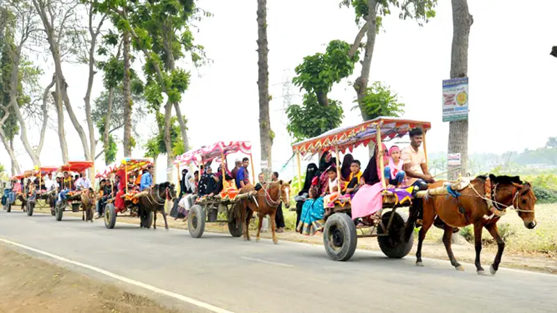 যশোরে ঘোড়ার গাড়িতে পিকনিক