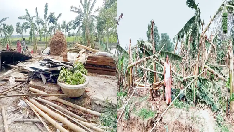 নেত্রকোনায় ব্যাপক ক্ষতি নেত্রকোনায় ব্যাপক ক্ষতি