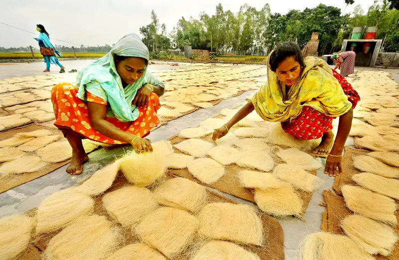 বগুড়ার চিকন সেমাই, জেলা ব্র্যান্ডিংয়ে নতুন মাত্রা বগুড়ার চিকন সেমাই, জেলা ব্র্যান্ডিংয়ে নতুন মাত্রা