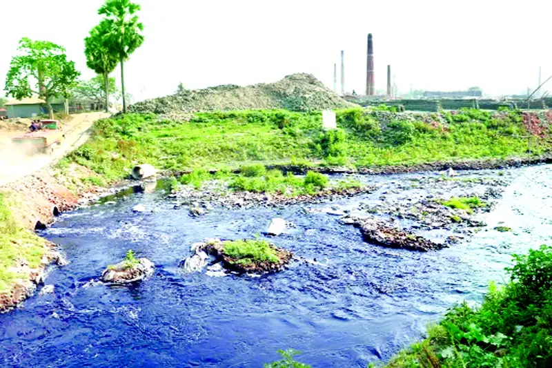 বিষাক্ত ও দূষিত পানিতে জীববৈচিত্র্য শঙ্কায় বিষাক্ত ও দূষিত পানিতে জীববৈচিত্র্য শঙ্কায়