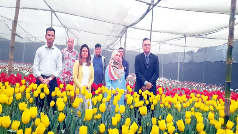 চট্টগ্রামে ফুল উৎসব কাল উদ্বোধন চট্টগ্রামে ফুল উৎসব কাল উদ্বোধন