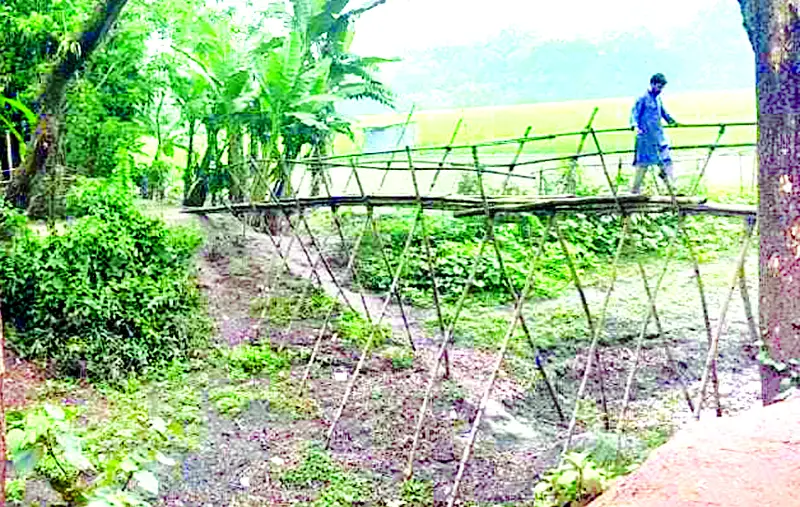 পাকা ব্রিজের অভাবে শিশু শিক্ষার্থীদের যাতায়াতে দুর্ভোগ