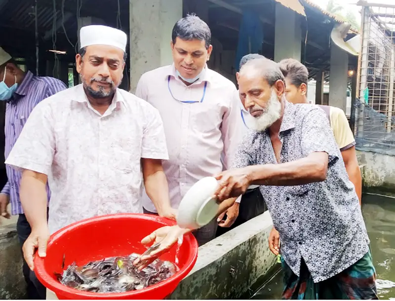 যশোরে রেণুপোনা উৎপাদনে এবারও রেকর্ড যশোরে রেণুপোনা উৎপাদনে এবারও রেকর্ড