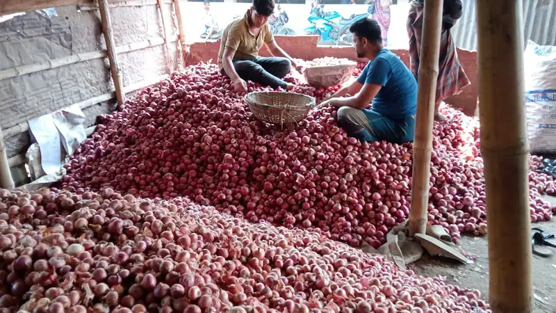 ফরিদপুরে কমতে শুরু করেছে পেঁয়াজের দাম