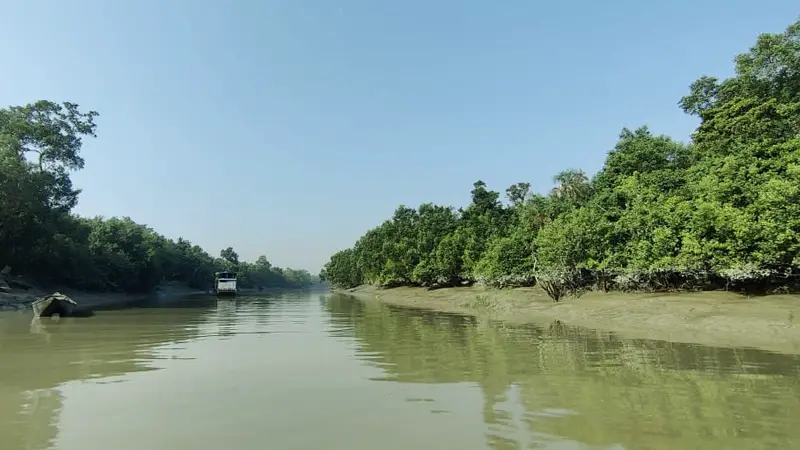 সাতক্ষীরার পথে সুন্দরবনে