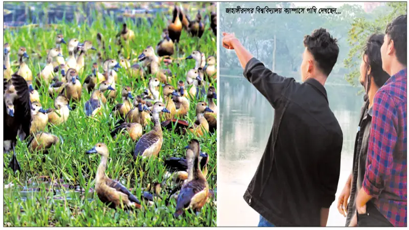 কুহু কূজনে মুগ্ধতা কুহু কূজনে মুগ্ধতা