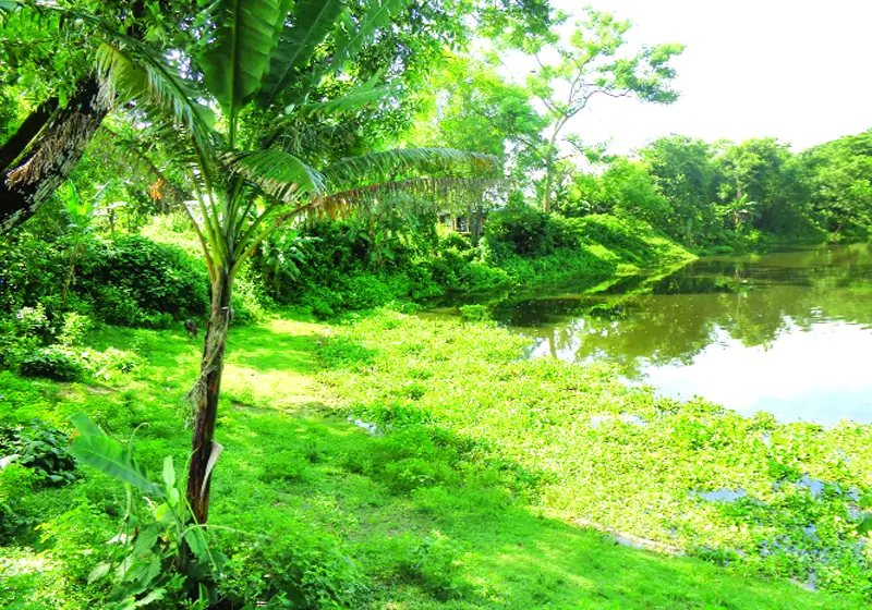 নেত্রকোনা নেত্রকোনা