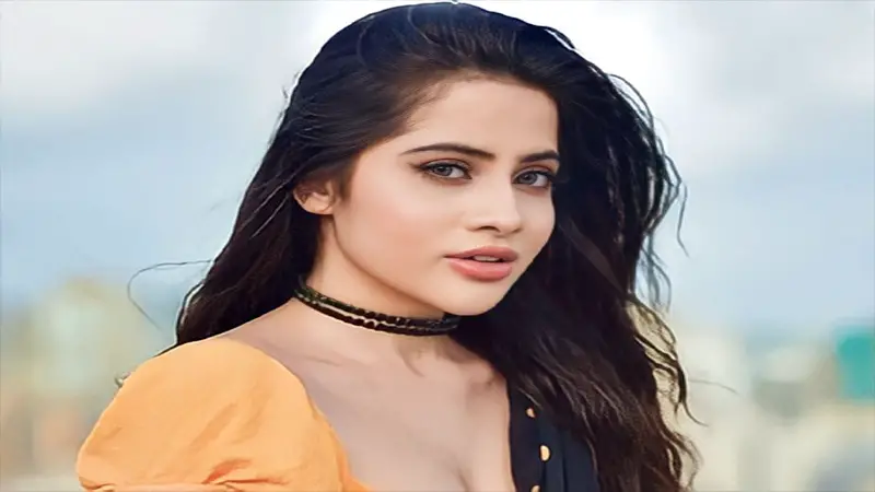 মাসে কত টাকা রোজগার করেন উরফি? মাসে কত টাকা রোজগার করেন উরফি?