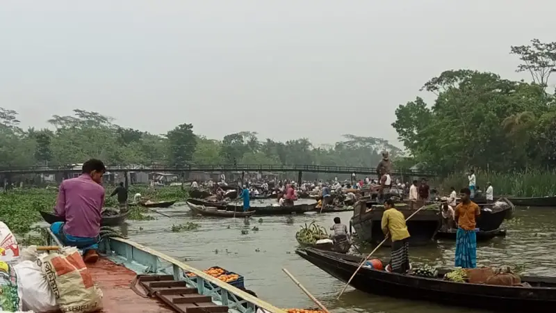 মনোহরপুর গ্রামে জমজমাট ভাসমান নৌকায় সবজি বাজার মনোহরপুর গ্রামে জমজমাট ভাসমান নৌকায় সবজি বাজার
