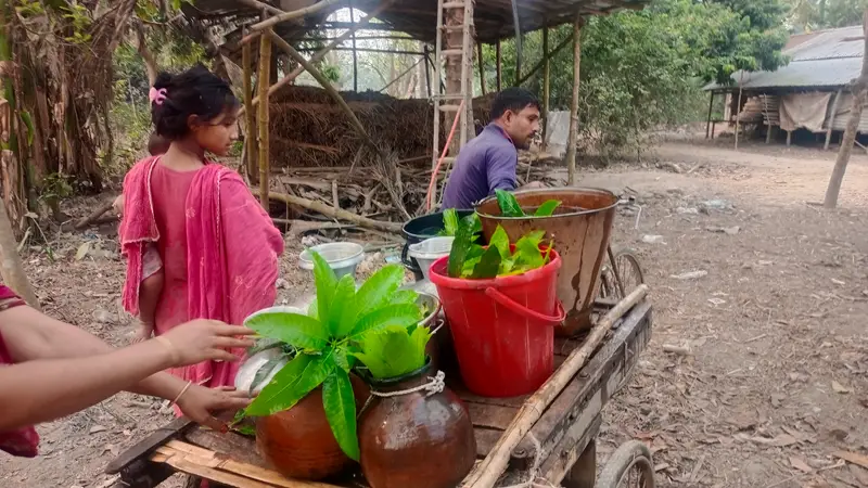 যশোরে গরু ও ছাগলের জন্য খাবারের পানি নিয়ে যাচ্ছে দূর থেকে