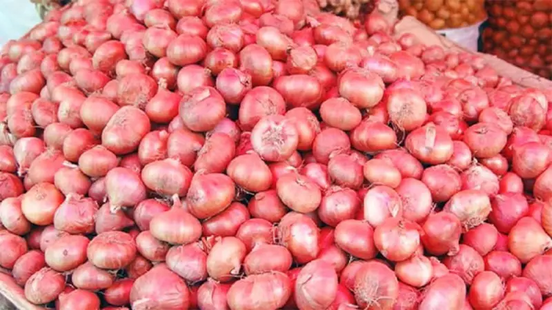 আগামীকাল থেকে ৫০ টাকায় পেঁয়াজ বিক্রি 
