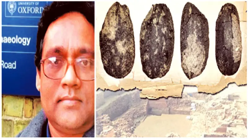 পুরনো ধানের সন্ধান ॥ দুই হাজার চারশ’ বছরের পুরনো ধানের সন্ধান ॥ দুই হাজার চারশ’ বছরের