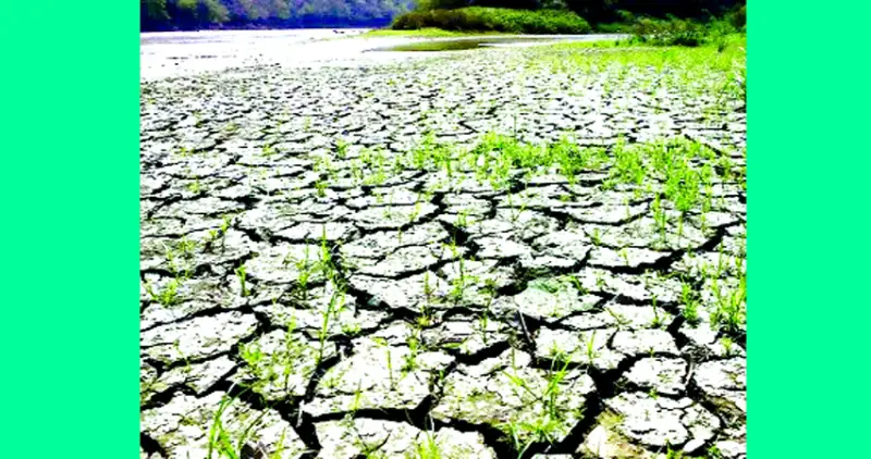 এল নিনো শুরু এল নিনো শুরু